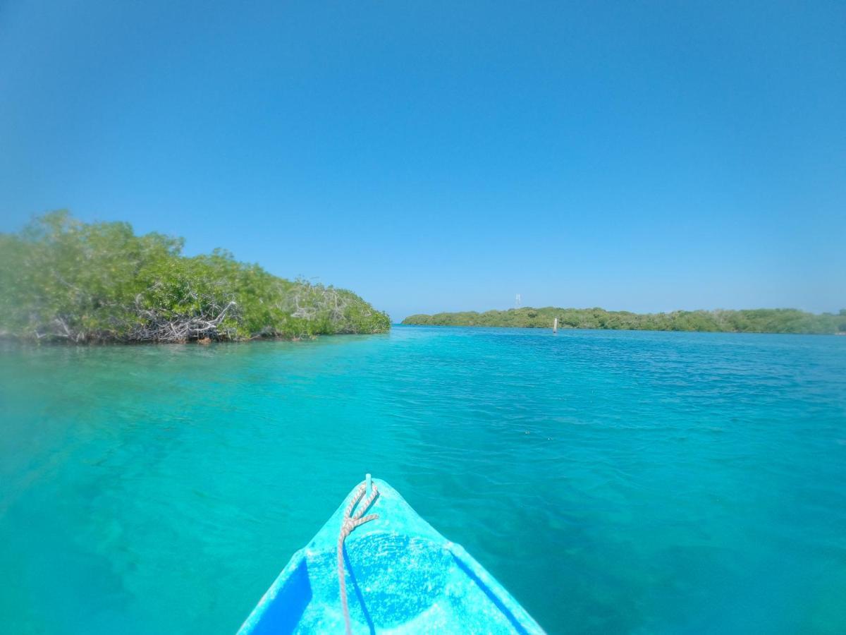 Isla Los Erizos Ecohouse グランデ島 エクステリア 写真